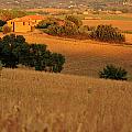 Evening Umbria