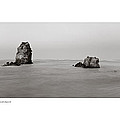 Shag Rock Sumner